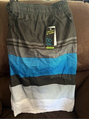burnside Black, Blue, Gray & White Striped Swim Shorts
